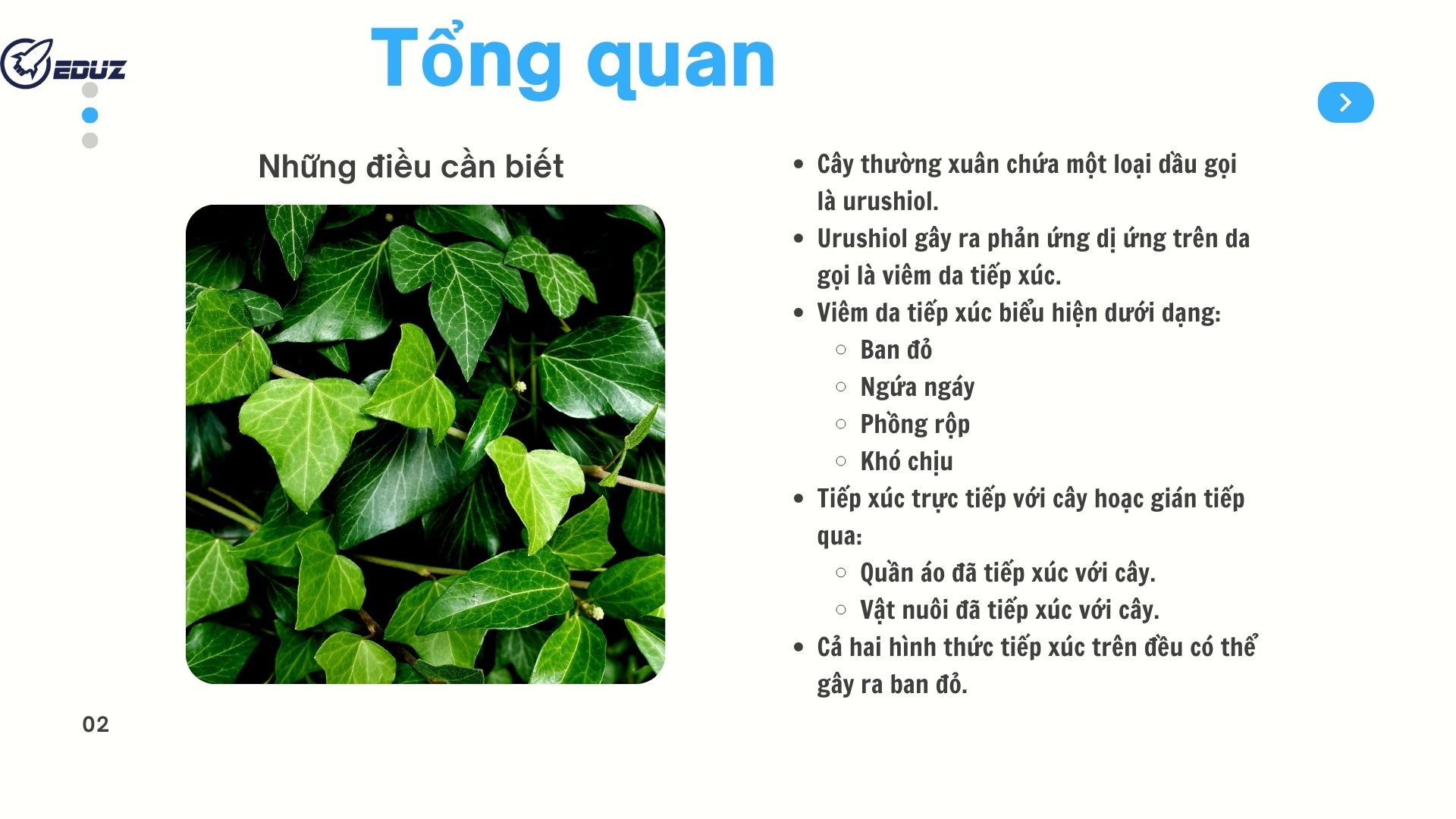 2. Tổng quan